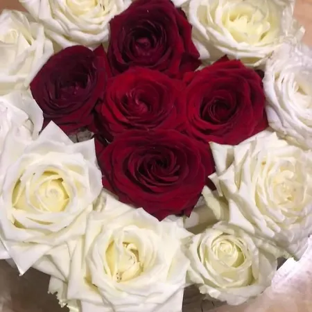 Restaurant Notre Dame 3* Haguenau