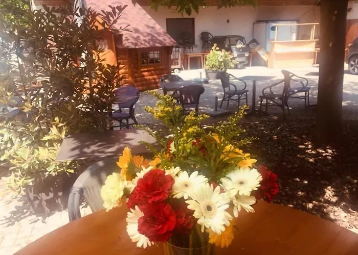 Restaurant Notre Dame Otel Haguenau